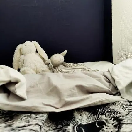 Beaivvas - Luminous Daire Rovaniemi