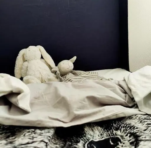 Beaivvas - Luminous Daire Rovaniemi